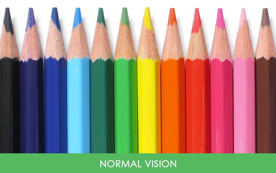 Image of pencils as viewed by someone with normal vision.