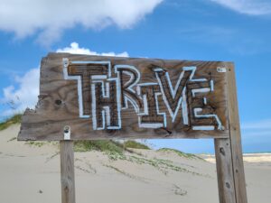 A wooden sign with the word THRIVE in all capital letters in front of a bright blue sky and sand dunes.