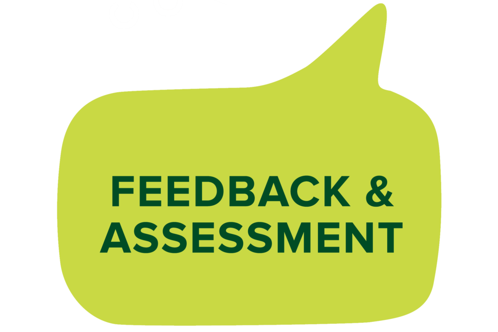 Link to the feedback & assessment domain of the TEF framework.