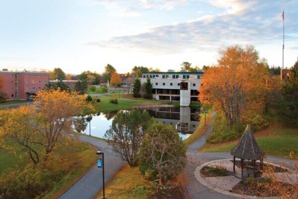 University campus with trees in the foreground and buildings in the background