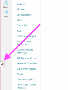 The left hand navigation window in Canvas with a pink arrow pointing to the ReadSpeaker icon.