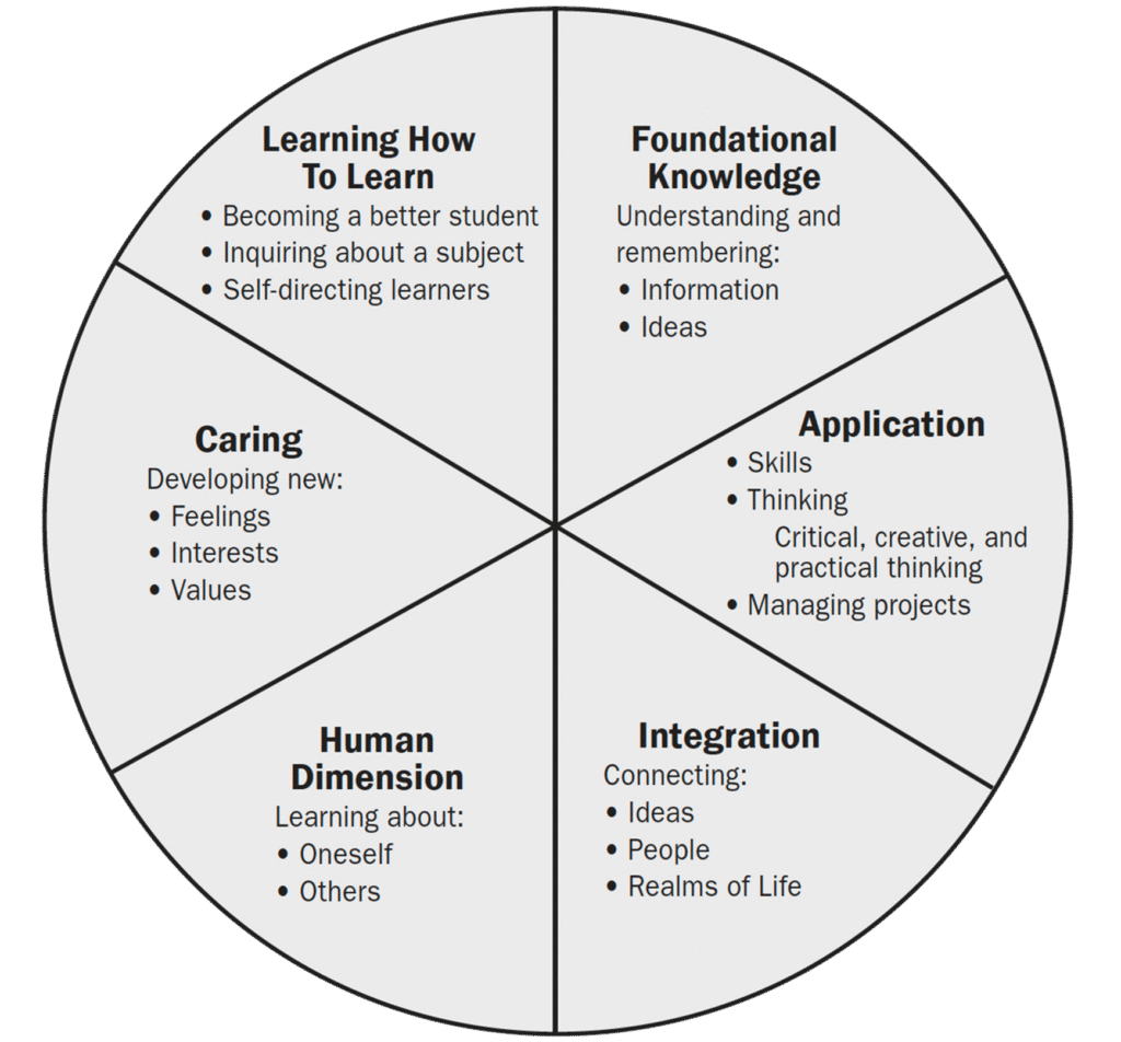 6 domains of Fink's significant learning taxonomy