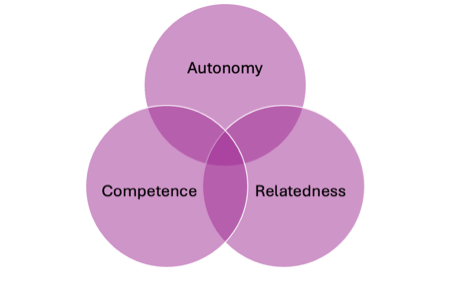 Three components of self-determination theory - autonomy, competence, and relatedness.